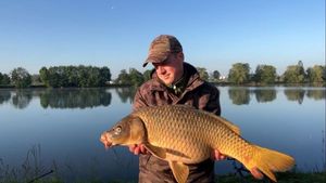 Common Carp