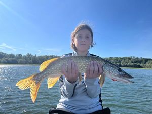 Northern Pike