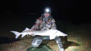 Sturgeon
