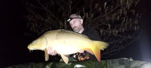 Mirror Carp