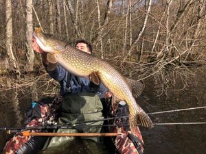 Northern Pike