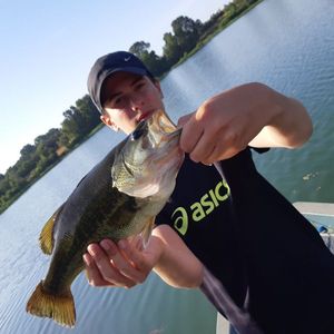 Smallmouth Bass