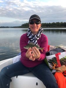 European Perch