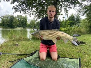 Grass Carp