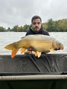 Leather Carp