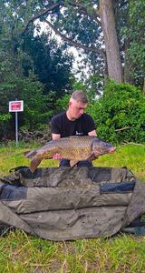 Common Carp