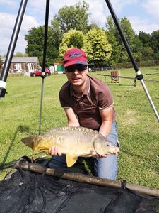 Mirror Carp