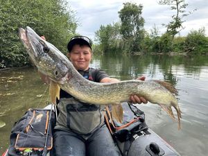 Northern Pike