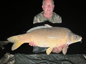 Common Carp