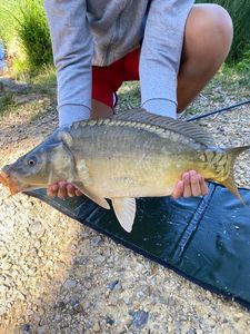 Leather Carp