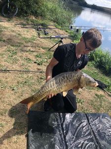 Common Carp