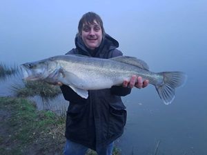 Zander