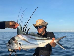 Roosterfish