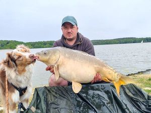 Mirror Carp