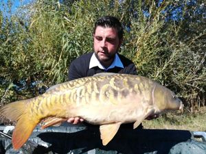 Mirror Carp