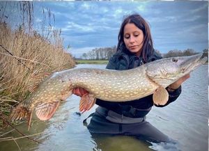 Northern Pike
