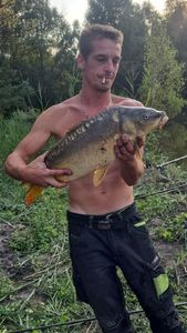 Mirror Carp