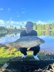 Mirror Carp