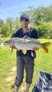 Common Carp