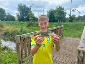 Largemouth Bass