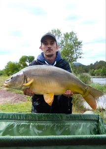 Mirror Carp