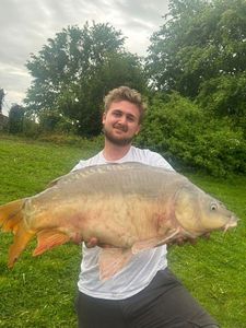 Mirror Carp