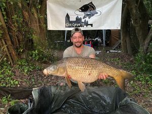Common Carp