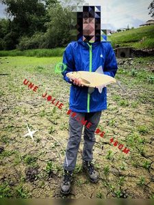 Common Bream