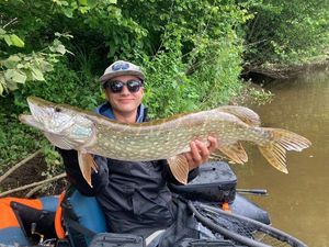Northern Pike