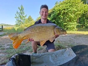 Common Carp