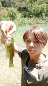 Largemouth Bass