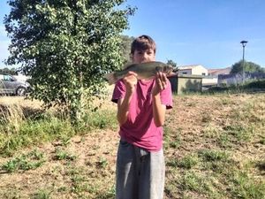 Largemouth Bass
