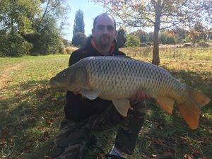 Common Carp