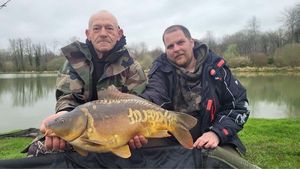 Mirror Carp