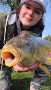 Mirror Carp