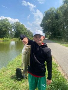 Largemouth Bass
