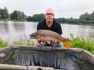 Common Carp