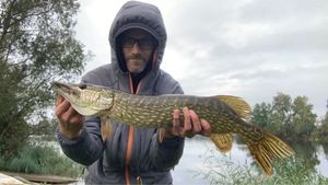 Northern Pike