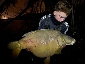 Mirror Carp
