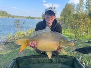 Mirror Carp
