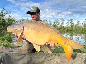 Mirror Carp
