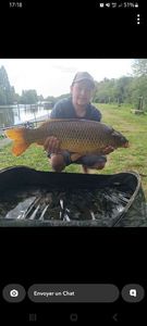 Common Carp