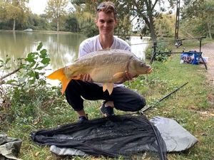 Mirror Carp
