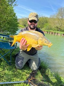 Mirror Carp