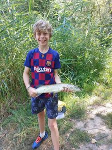 Northern Pike