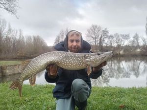 Northern Pike