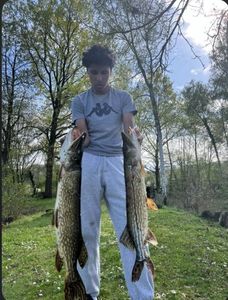 Northern Pike
