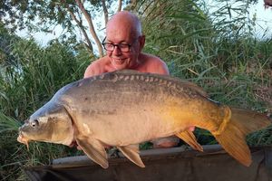 Mirror Carp