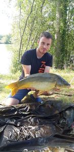 Mirror Carp