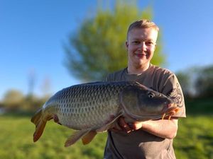 Common Carp